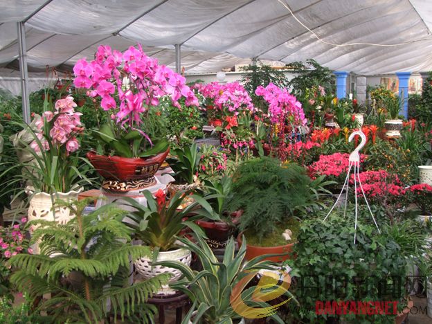 DSCF8622.JPG