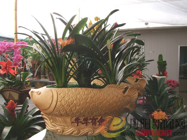 DSCF8626.JPG