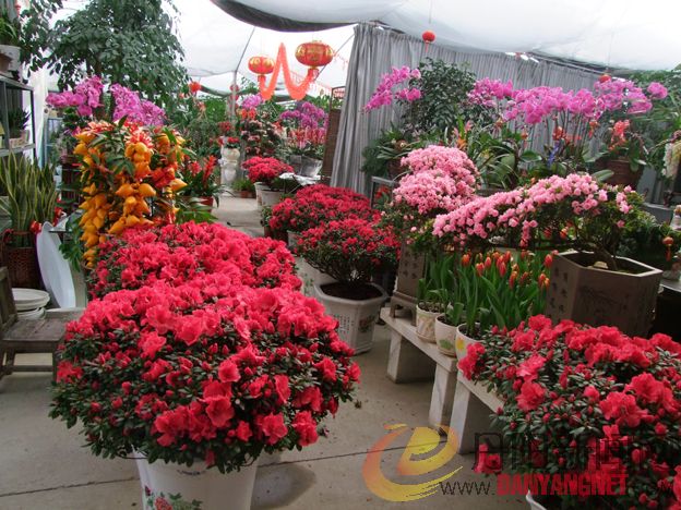 DSCF8625.JPG