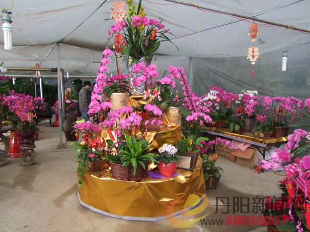 DSCF8630.JPG