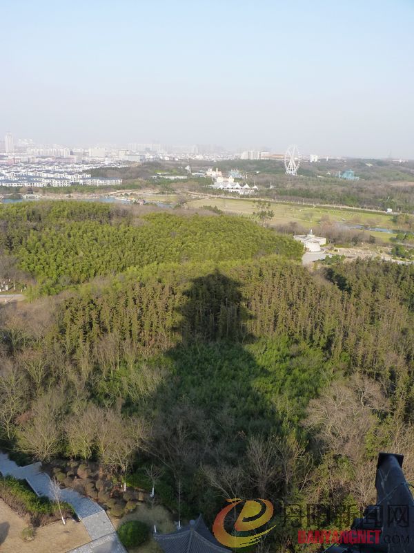 46.JPG