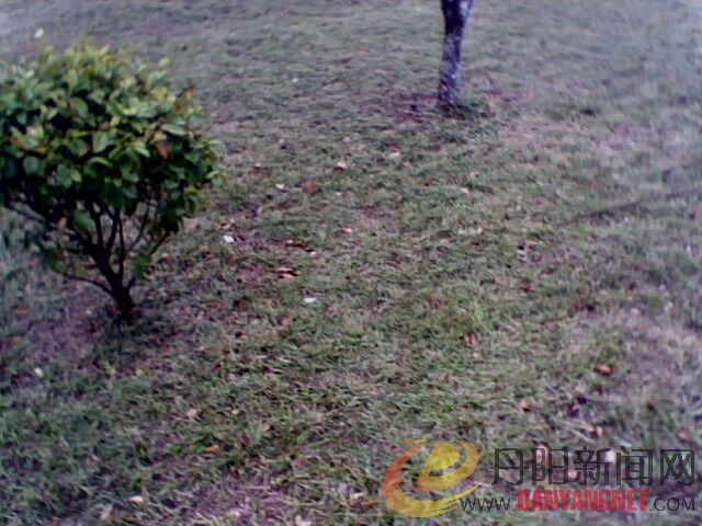 IMG0146A.jpg