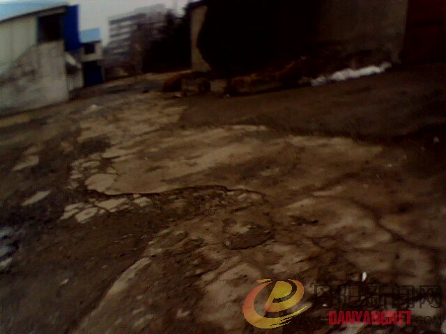 IMG0178A.jpg