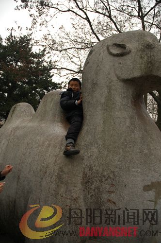 DSC_0173.jpg