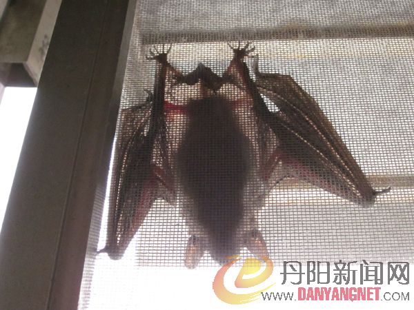 照片-110.jpg