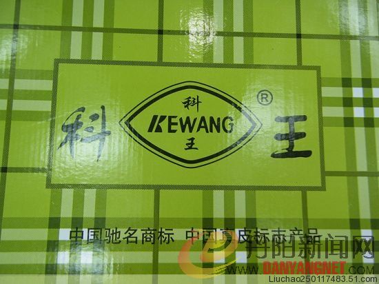 丹阳科王皮鞋.jpg