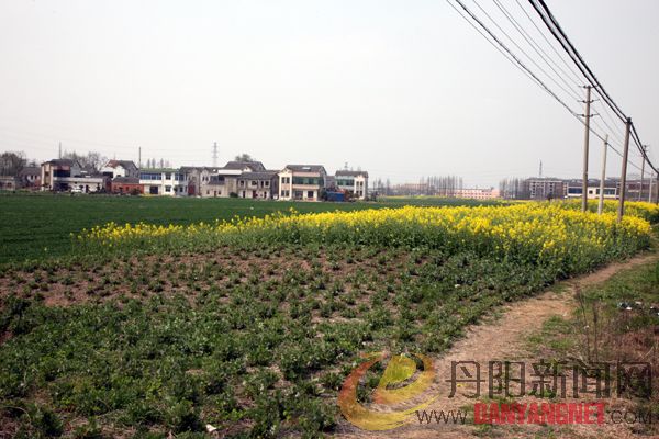 IMGN4208.JPG