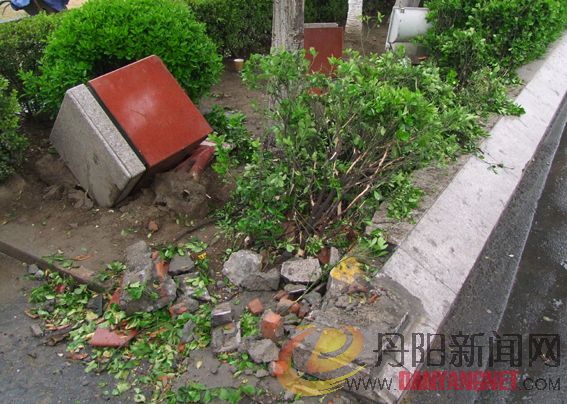 DSCF9478.jpg