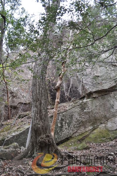 DSC_0494.JPG