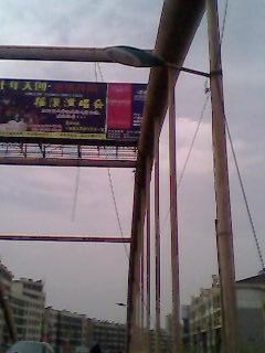 IMG0109A.jpg