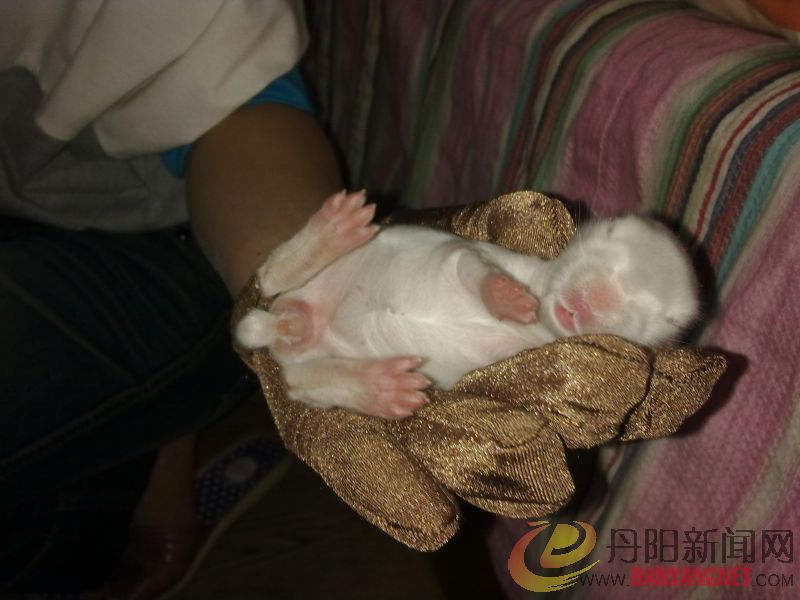 20110528008.jpg