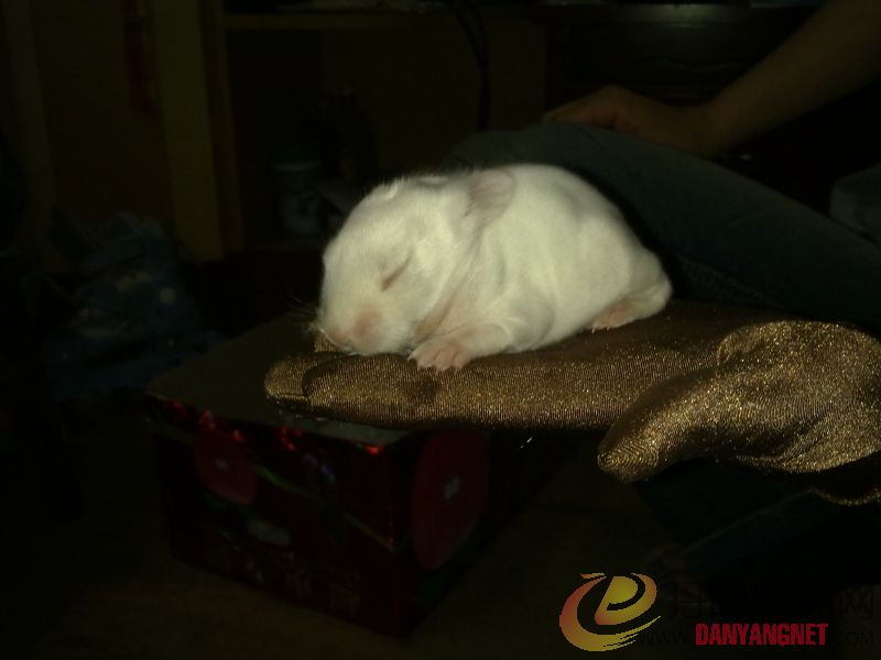 20110528007.jpg