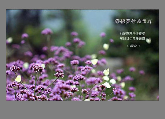 花朵3.jpg
