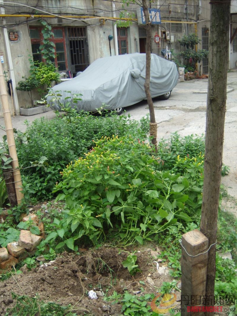 GEDC0570.JPG