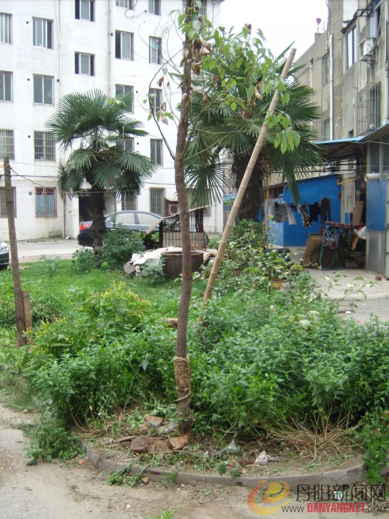 GEDC0572.JPG