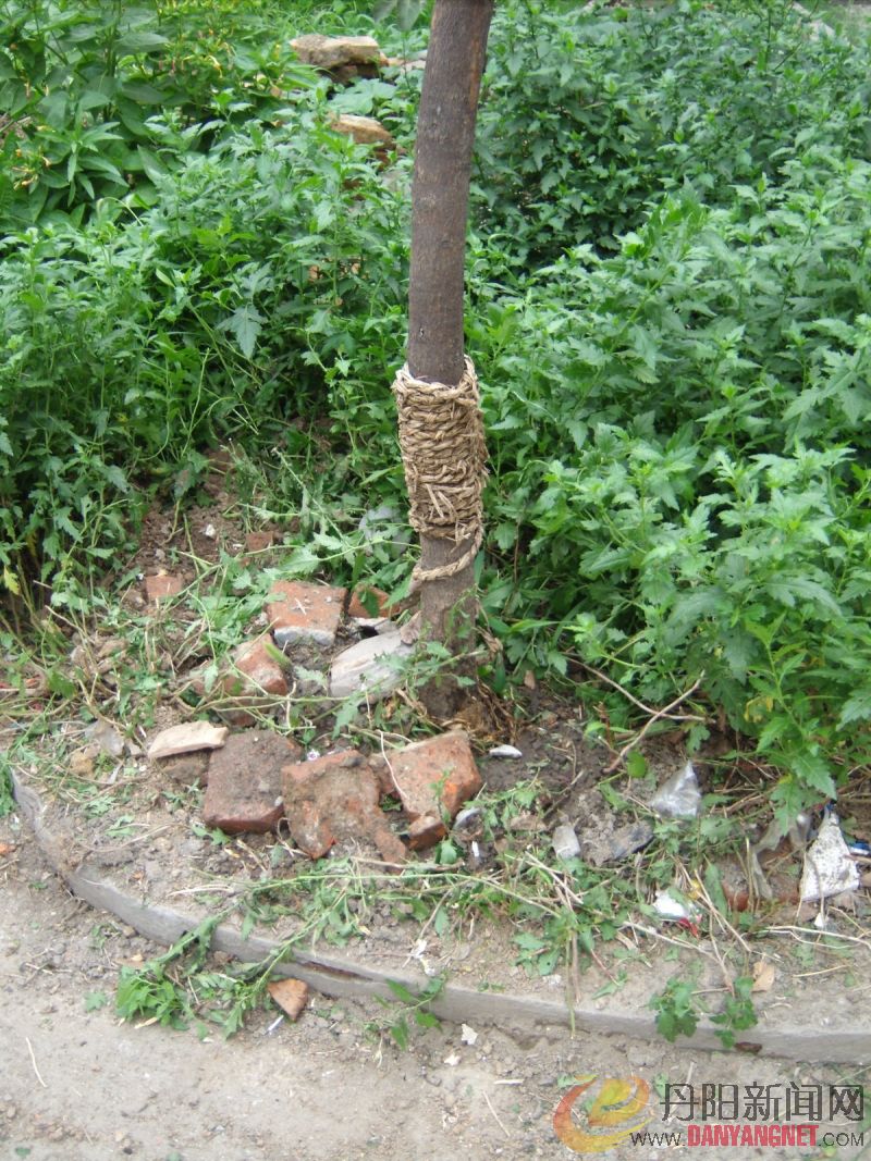 GEDC0571.JPG