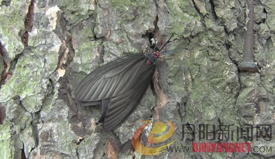 20110725170311.jpg